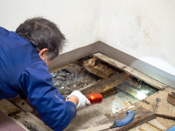 Crawl Space Mold Removal in Combine, TX